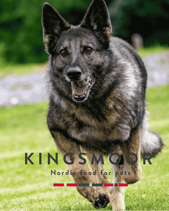 Kingsmoor